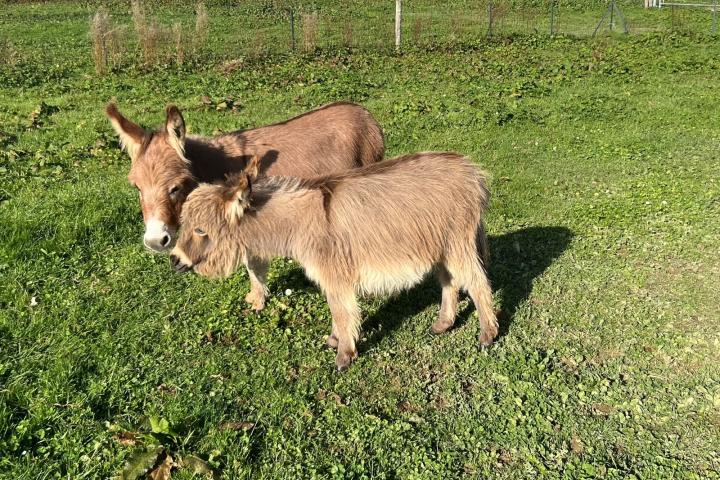 Elise Francarolis et sa maman Sunny 65 cm