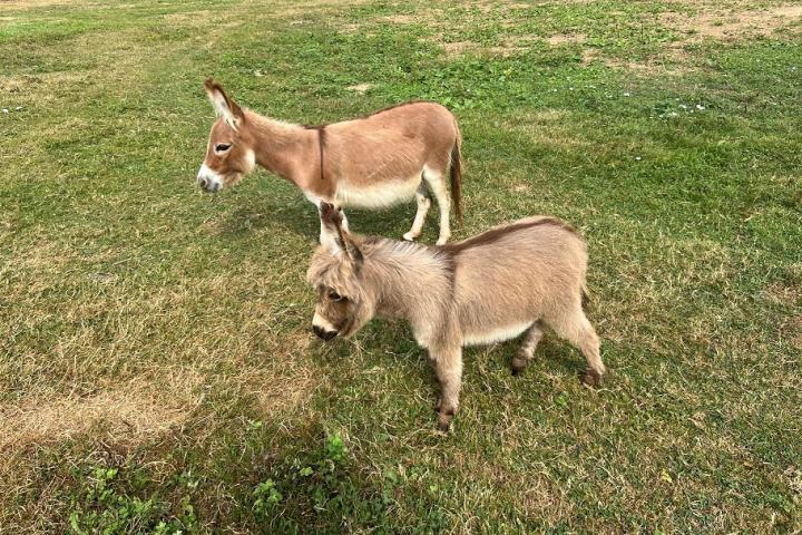 Elise Francarolis et sunny Francarolis sa maman