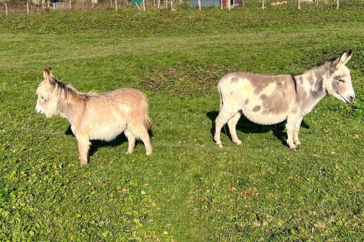 Orfée Francarolis et Amour sa maman