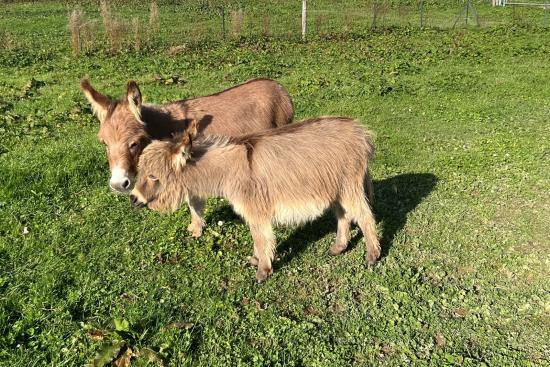 Elise Francarolis et sa maman Sunny 65 cm